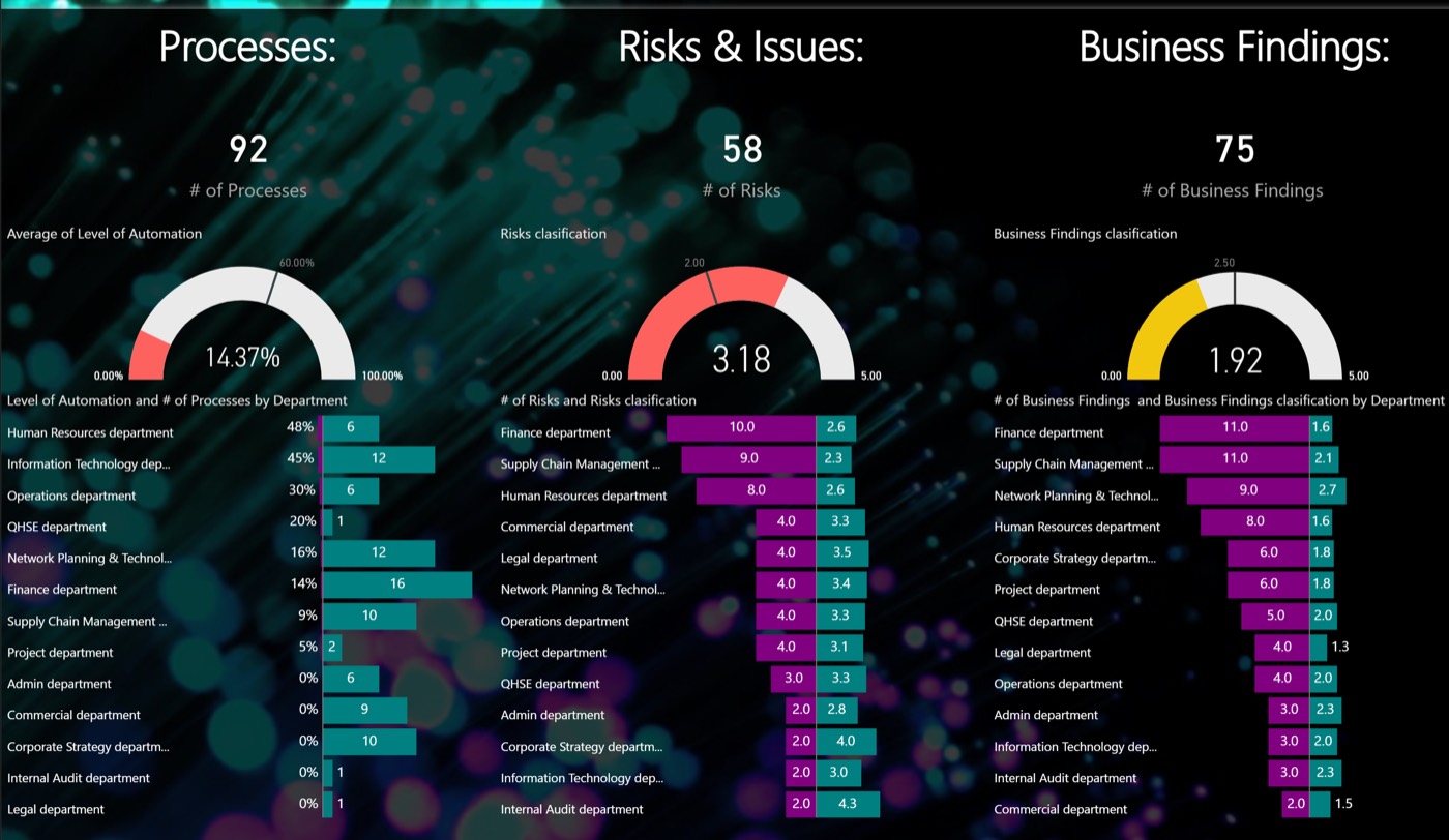 Assessment output: processes, risks and findings